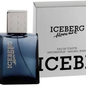 ICEBERG